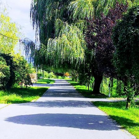 Árvalányhaj Home Apartman Herceghalom Esterno foto