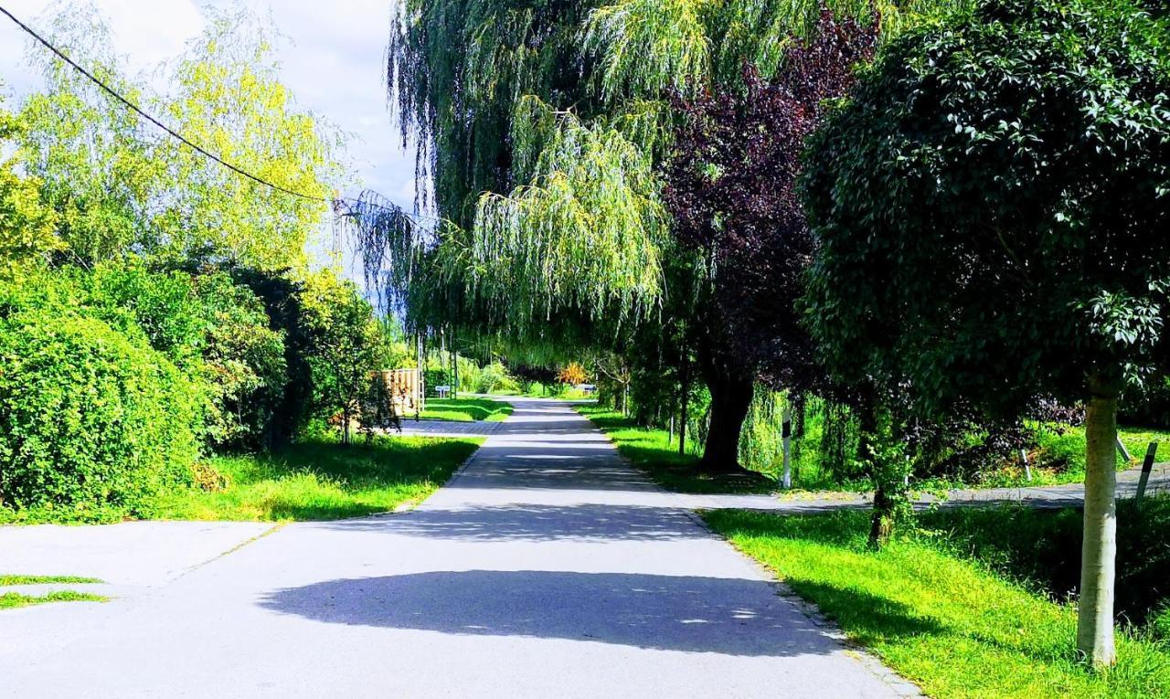 Árvalányhaj Home Apartman Herceghalom Esterno foto