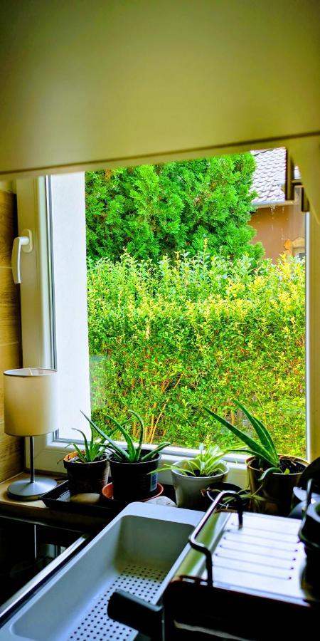 Árvalányhaj Home Apartman Herceghalom Esterno foto
